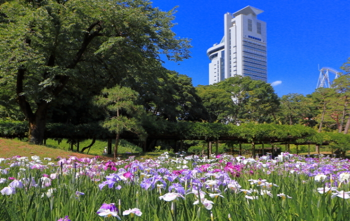 a0150260_22332030.jpg