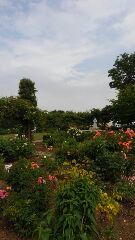 d0045362_15210148.jpg