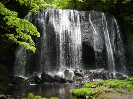 b0063468_083040.jpg