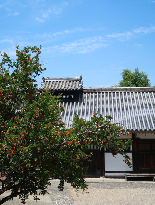 b0113868_2355318.jpg