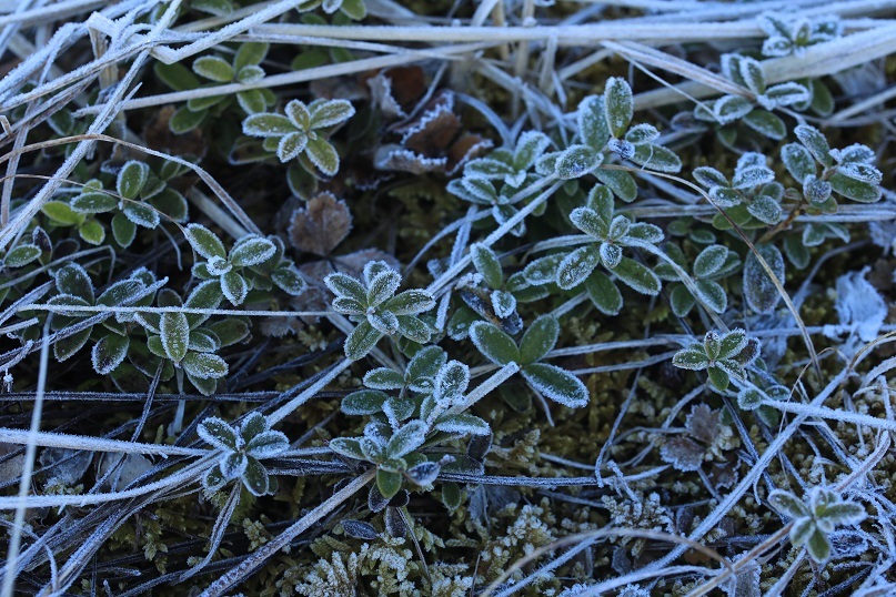 e0304170_19073847.jpg