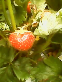 d0340774_23044432.jpg