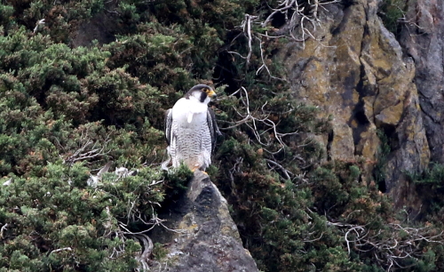 d0262476_1724515.jpg