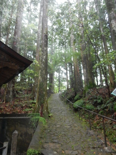 f0054677_08295535.jpg