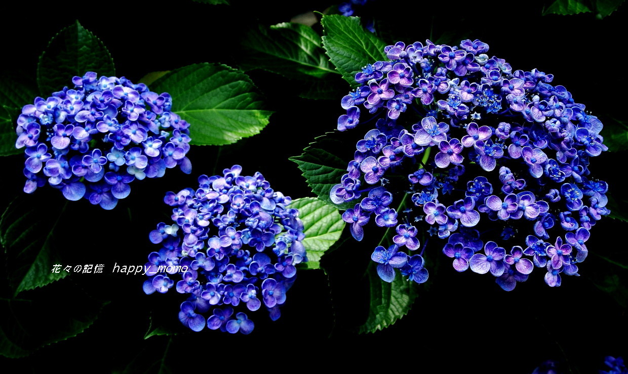 c0357781_09183535.jpg