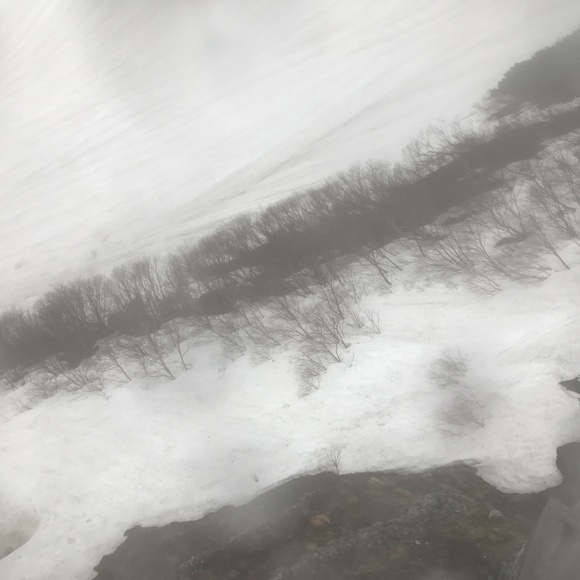 e0024081_4392620.jpg