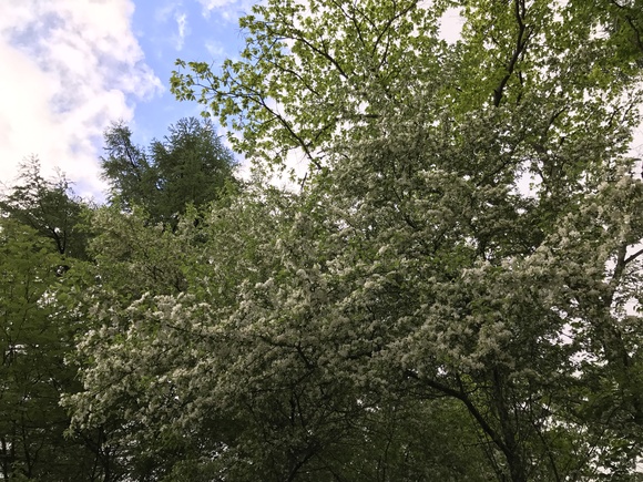 e0024081_458266.jpg