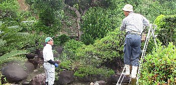 f0003283_13002742.jpg
