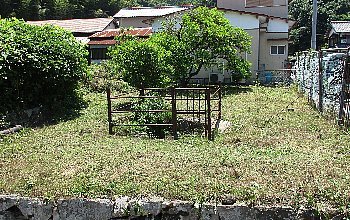 f0003283_20520666.jpg