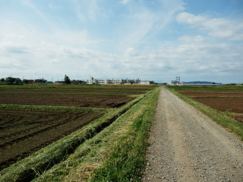 b0334084_07261992.jpg