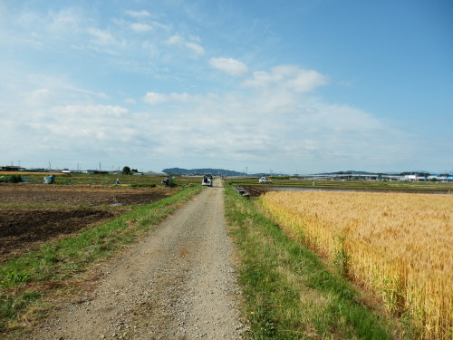 b0334084_07263357.jpg