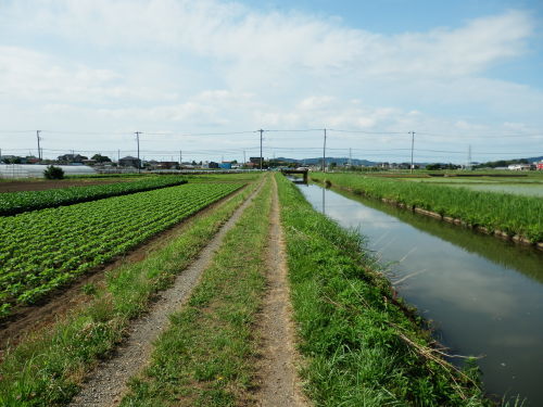 b0334084_07273166.jpg