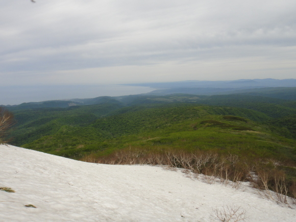 d0198793_13381659.jpg