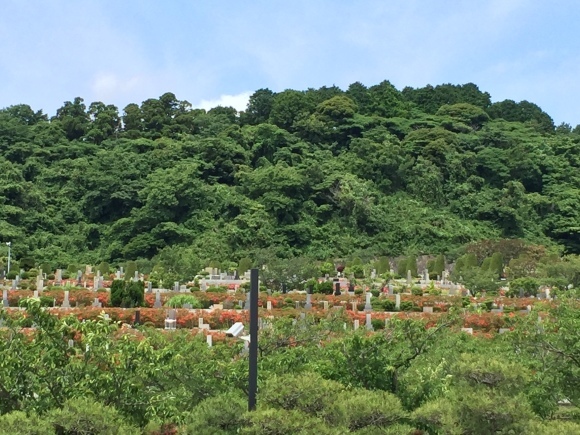 f0130894_22252656.jpg