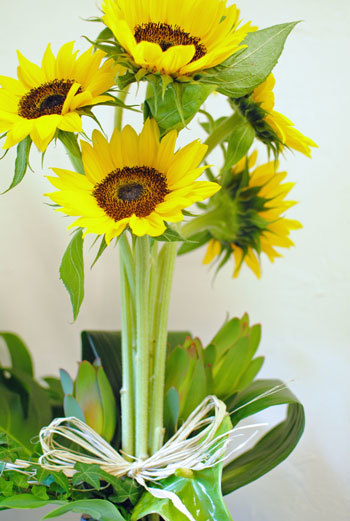 f0223594_23151027.jpg