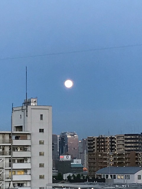 f0204295_19310263.jpg