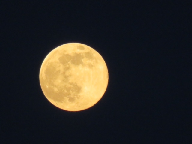 f0204295_19320339.jpg