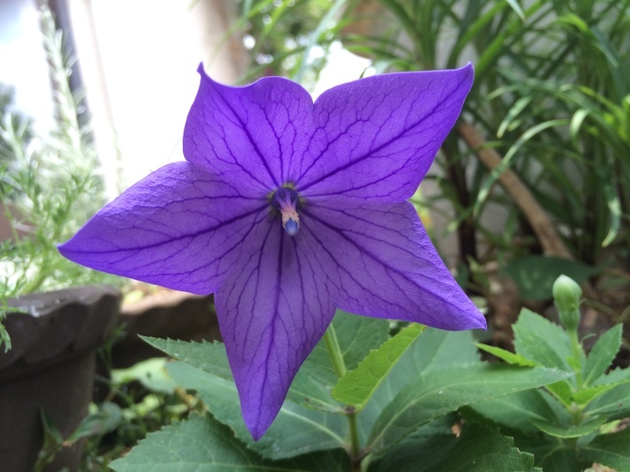 f0201297_12482386.jpg