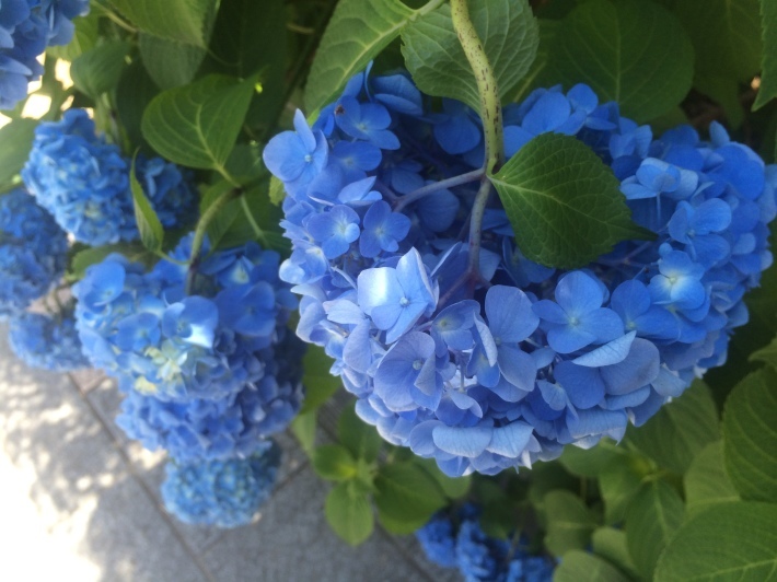 f0201297_13243486.jpg