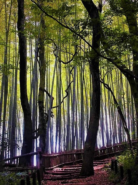 c0054498_21275279.jpg