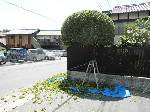 c0108198_1672856.jpg