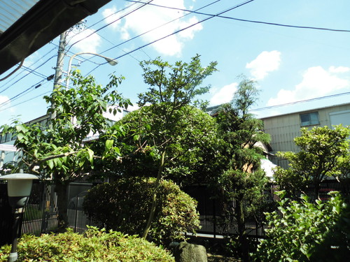 c0108198_169540.jpg