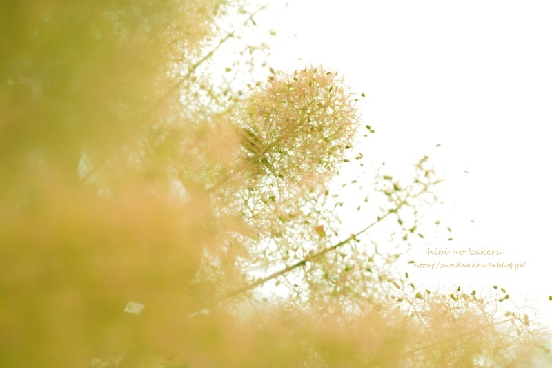 c0358500_23164318.jpg