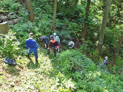 c0336902_20004736.jpg