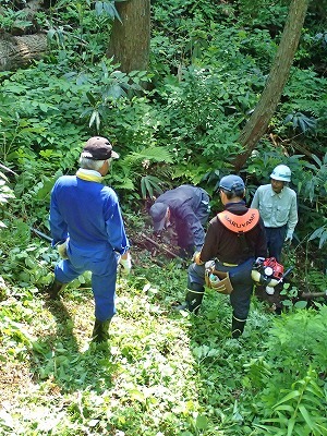 c0336902_20005109.jpg