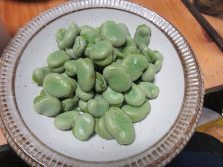 a0203003_21225060.jpg