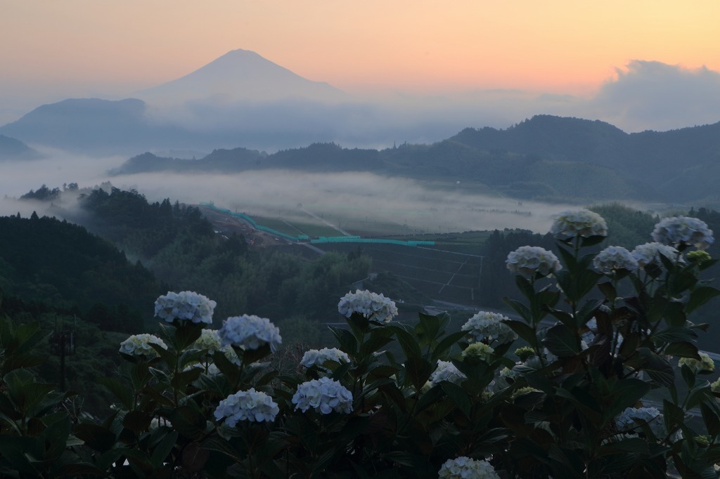 a0188405_07335105.jpg