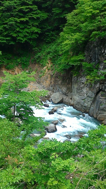 c0067206_12260306.jpg