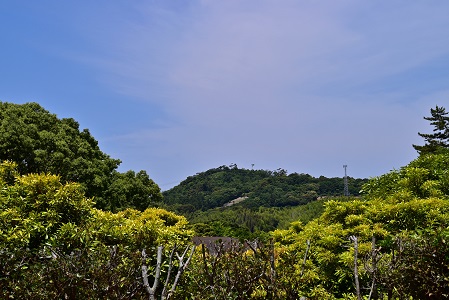 a0151913_2121213.jpg