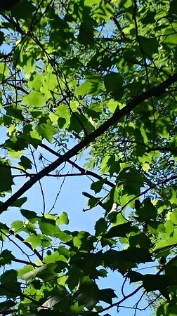 c0200413_14024071.jpg