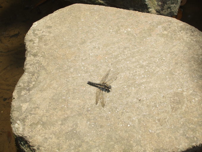 f0191517_14290490.jpg