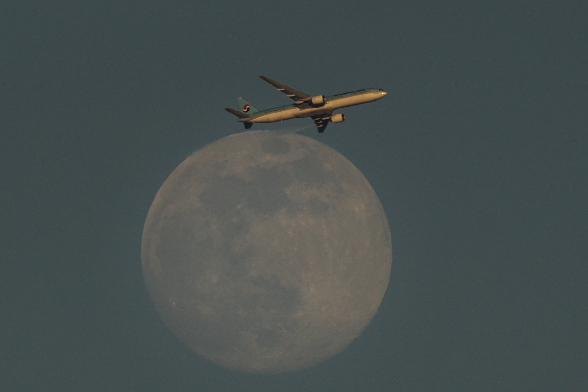 d0137627_1758848.jpg