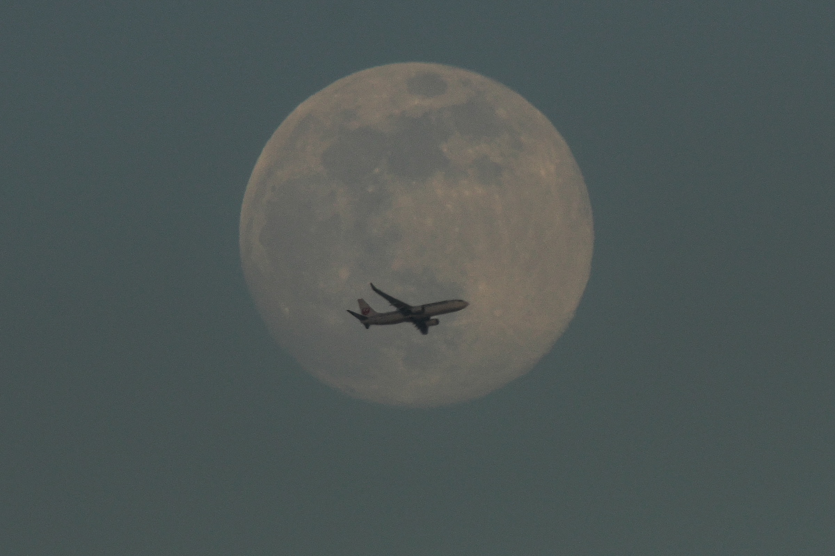 d0137627_18104557.jpg
