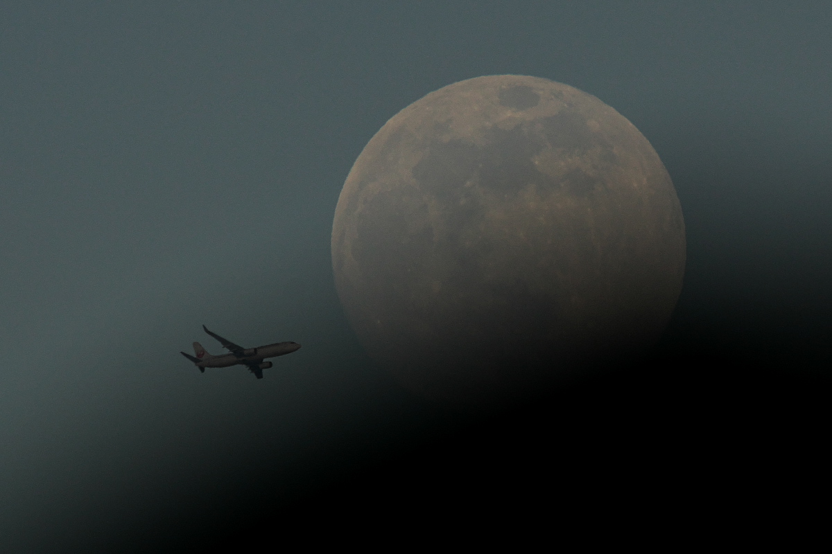 d0137627_1835329.jpg