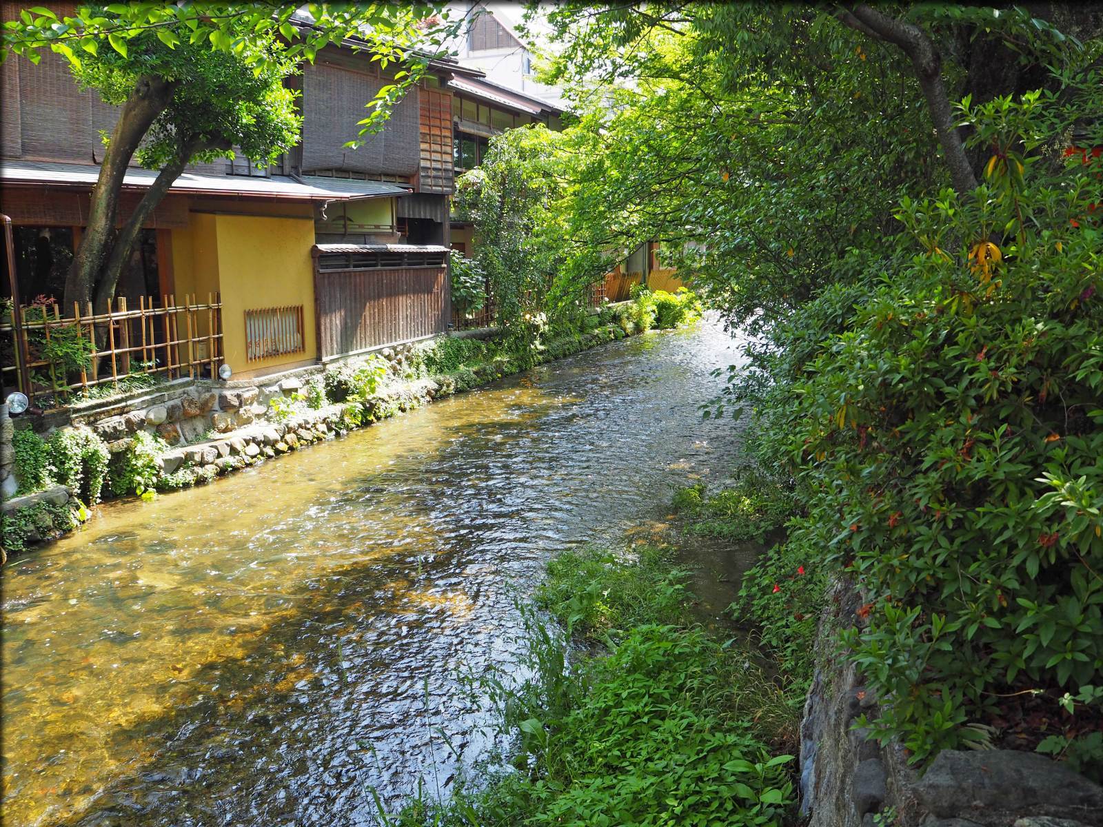 b0054329_08481276.jpg