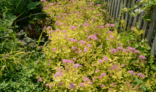 c0107129_21292316.jpg