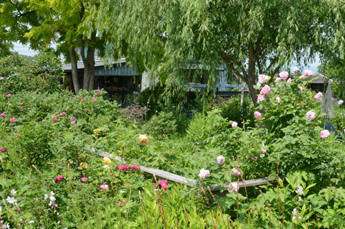 c0107129_21314743.jpg