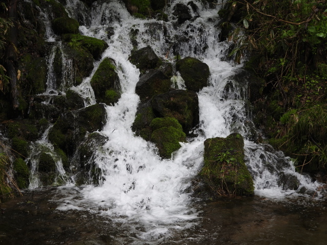 f0118332_22350287.jpg