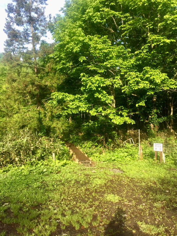 c0225536_07123711.jpg