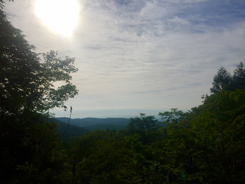 c0225536_07123903.jpg