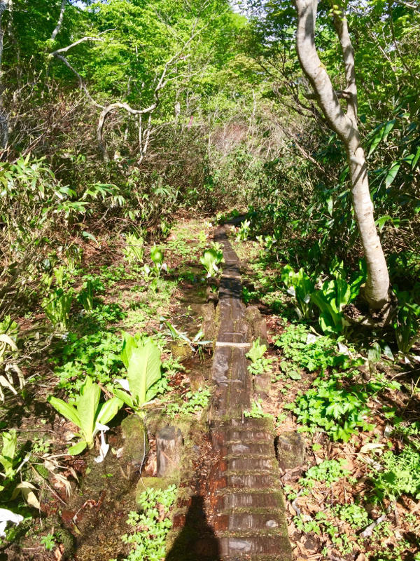 c0225536_07501896.jpg