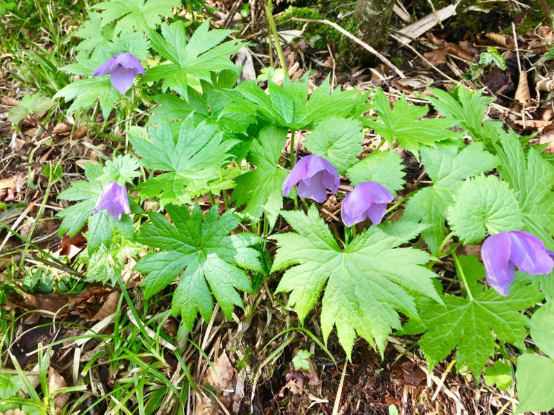 c0225536_08041316.jpg