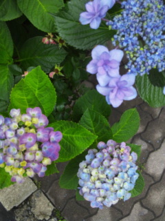c0056437_23481226.jpg