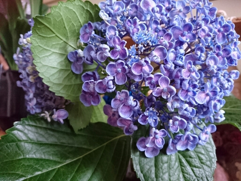 f0378646_11315997.jpg
