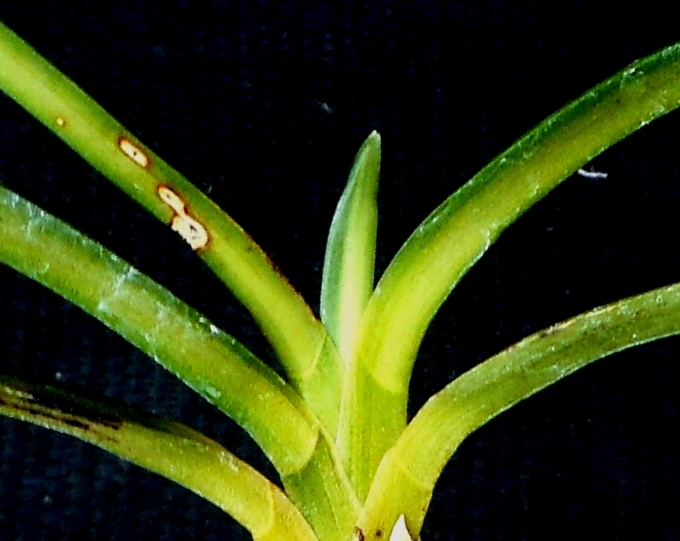 a0353447_14140193.jpg