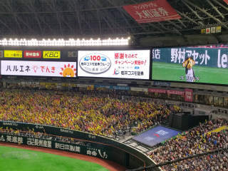 c0179348_22251207.jpg